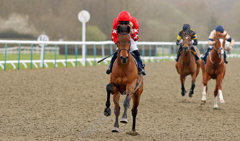 Road-To-Wembley-0002 
 ROAD TO WEMBLEY (Finley Marsh) wins The Download The Raceday Ready App Handicap
Lingfield 4 Apr 2024 - Pic Steven Cargill / Racingfotos.com