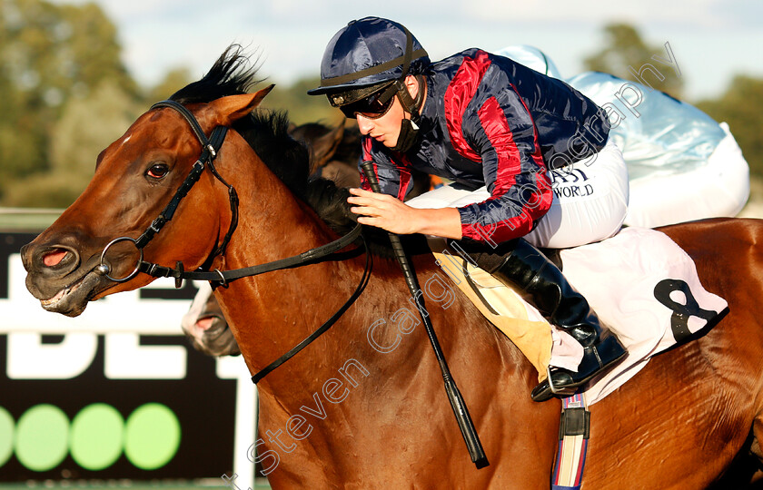 Turn-On-The-Charm-0003 
 TURN ON THE CHARM (Tom Marquand) wins The Unibet 3 Uniboosts A Day Handicap
Kempton 18 Aug 2020 - Pic Steven Cargill / Racingfotos.com