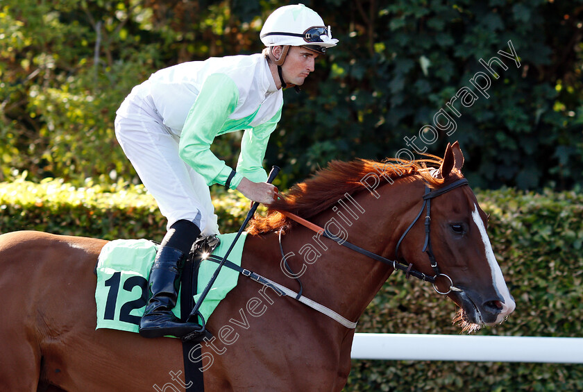 Theydon-Spirit-0002 
 THEYDON SPIRIT (Marc Monaghan)
Kempton 8 Aug 2018 - Pic Steven Cargill / Racingfotos.com