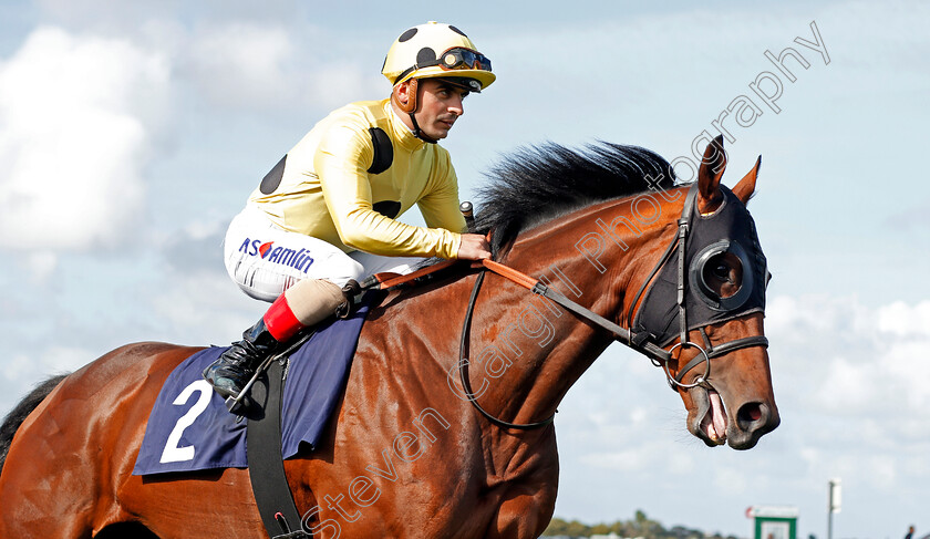 Three-Comets-0001 
 THREE COMETS (Andrea Atzeni)
Yarmouth 17 Sep 2019 - Pic Steven Cargill / Racingfotos.com