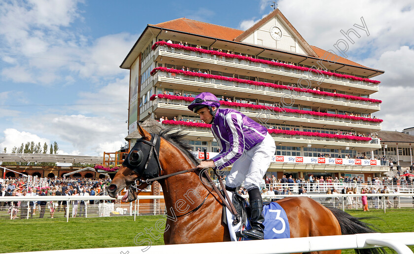 Denmark-0002 
 DENMARK (Ryan Moore)
York 26 Aug 2023 - Pic Steven Cargill / Racingfotos.com