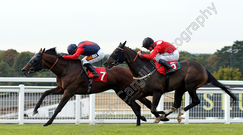 Knight-Errant-0001 
 KNIGHT ERRANT (Silvestre De Sousa) beats JACK REGAN (right) in The Fizz Fridays At Slug And Lettuce Handicap
Sandown 9 Aug 2018 - Pic Steven Cargill / Racingfotos.com