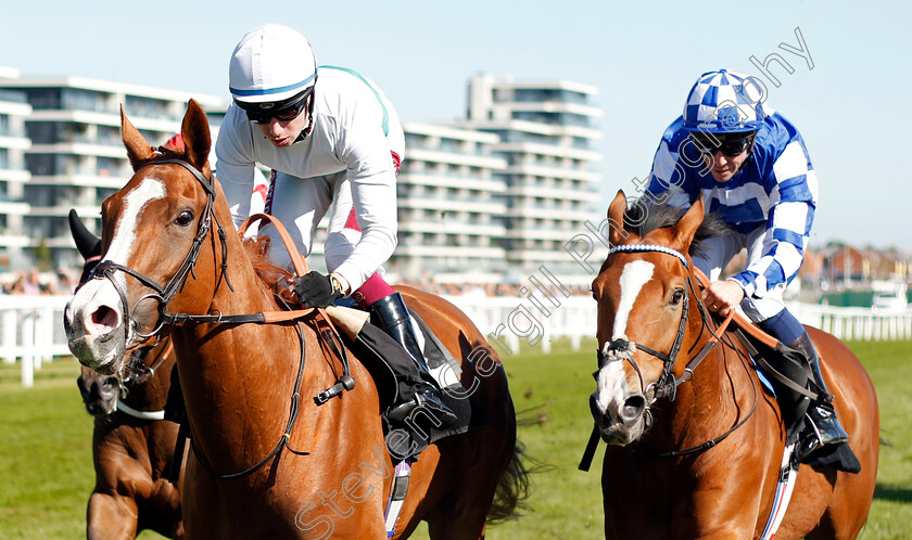 Shailene-0003 
 SHAILENE (Oisin Murphy) beats SOTO SIZZLER (right) in The Dubai Duty Free Handicap
Newbury 20 Sep 2019 - Pic Steven Cargill / Racingfotos.com