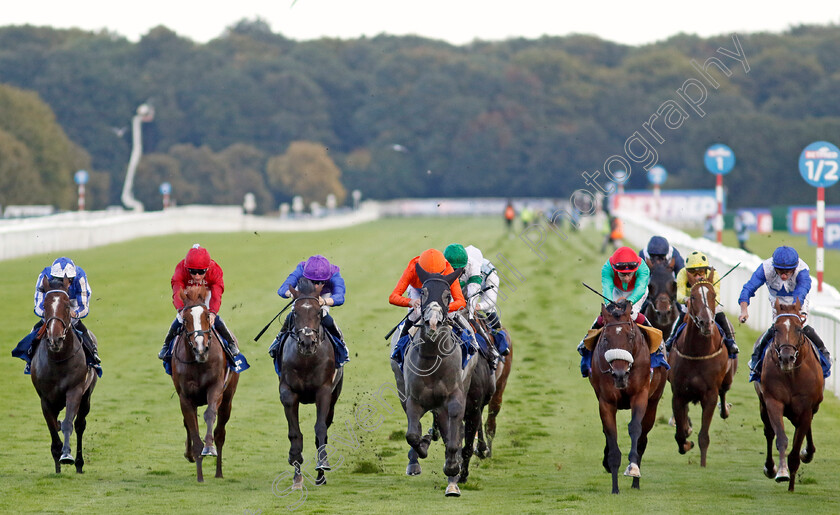 Grey-Cuban-0003 
 GREY CUBAN (centre, Jamie Spencer) wins The Pertemps Network Handicap
Doncaster 12 Sep 2024 - Pic Steven Cargill / Racingfotos.com