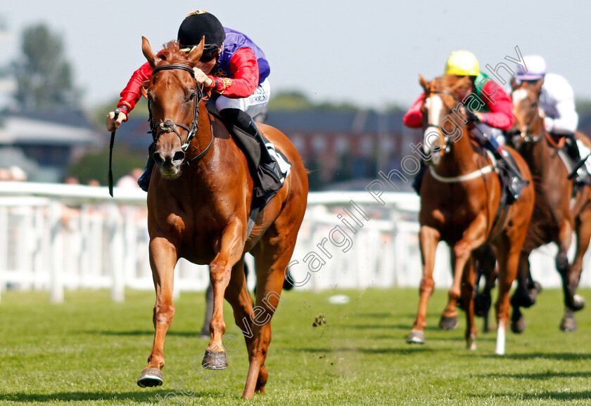 Intelligentsia-0003 
 INTELLIGENTSIA (Pat Dobbs) wins The bet365 EBF Maiden Fillies Stakes
Newbury 16 Jul 2021 - Pic Steven Cargill / Racingfotos.com