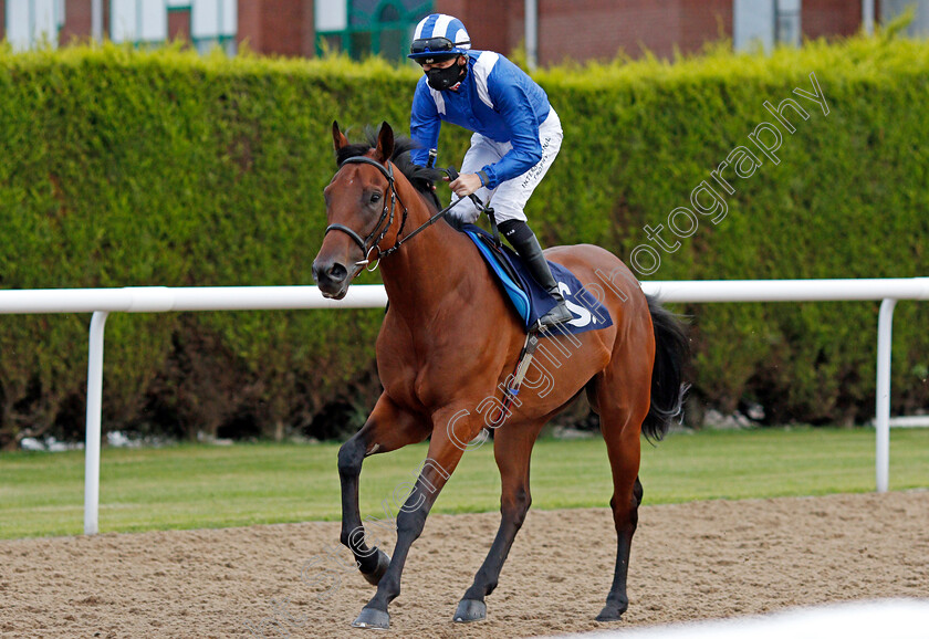 Daafy-0001 
 DAAFY (Robert Havlin)
Wolverhampton 31 Jul 2020 - Pic Steven Cargill / Racingfotos.com