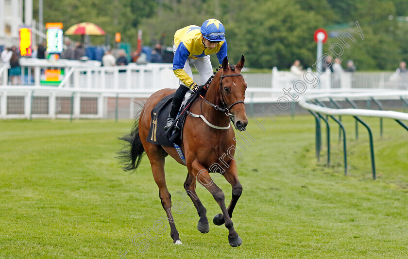 Back-From-Dubai-0001 
 BACK FROM DUBAI (Harry Davies)
Nottingham 30 May 2023 - Pic Steven Cargill / Racingfotos.com