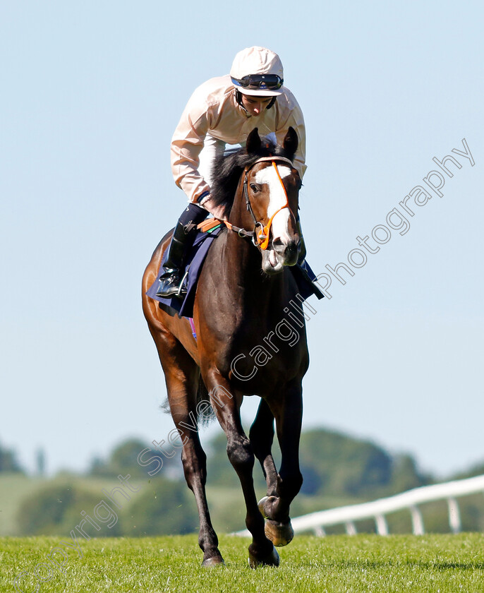 Gaius 
 GAIUS (Rossa Ryan)
Chepstow 27 May 2022 - Pic Steven Cargill / Racingfotos.com