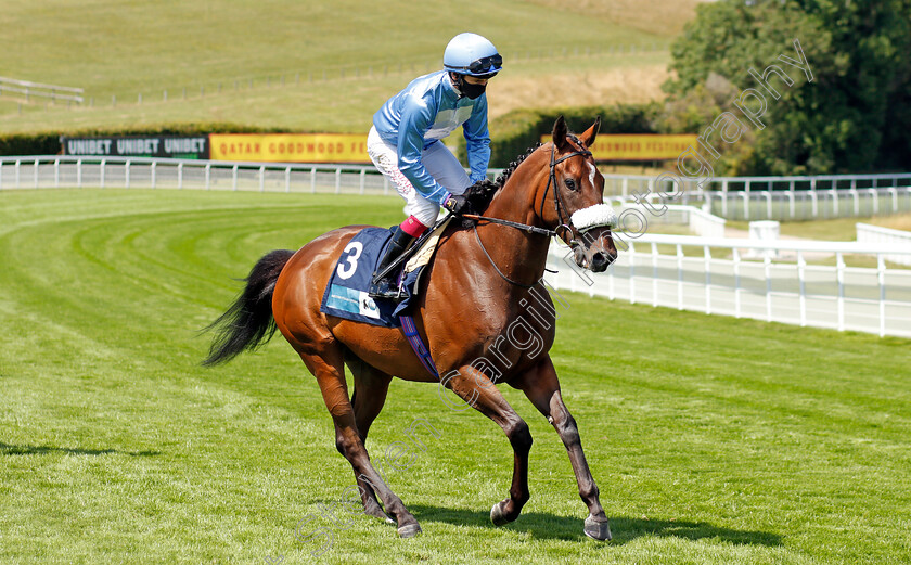 Be-More-0001 
 BE MORE (Oisin Murphy)
Goodwood 29 Jul 2020 - Pic Steven Cargill / Racingfotos.com