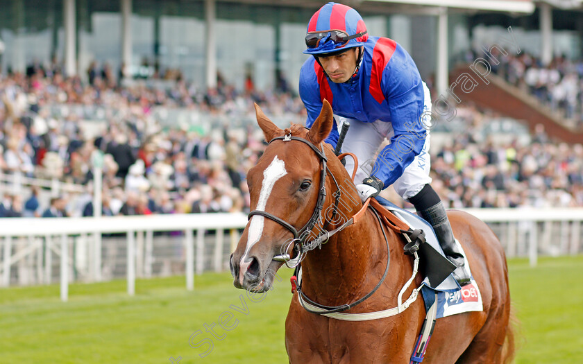 Nayef-Road-0002 
 NAYEF ROAD (Silvestre De Sousa)
York 21 Aug 2019 - Pic Steven Cargill / Racingfotos.com