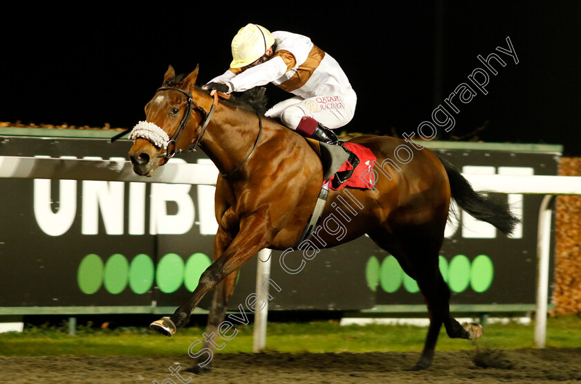 Lessay-0003 
 LESSAY (Oisin Murphy) wins The Unibet / British Stallion Studs EBF Novice Stakes
Kempton 13 Dec 2023 - Pic Steven Cargill / Racingfotos.com