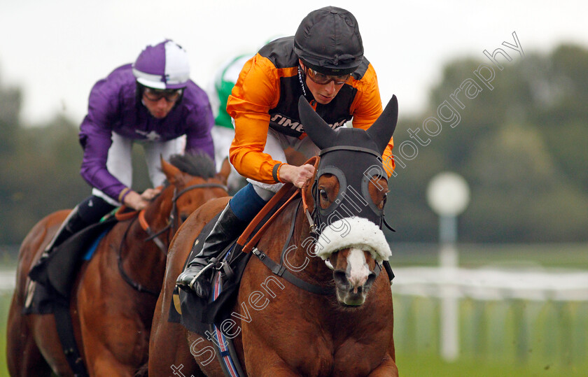 Raasel-0005 
 RAASEL (William Buick) wins The Persimmon Homes Handicap 
Nottingham 13 Oct 2021 - Pic Steven Cargill / Racingfotos.com