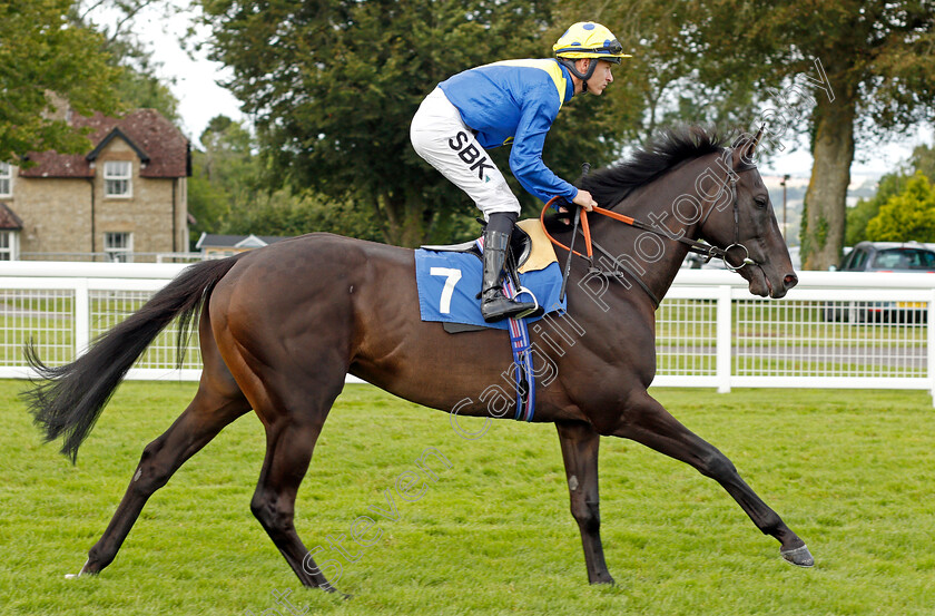 Solid-Stone-0001 
 SOLID STONE (Richard Kingscote)
Salisbury 12 Aug 2021 - Pic Steven Cargill / Racingfotos.com