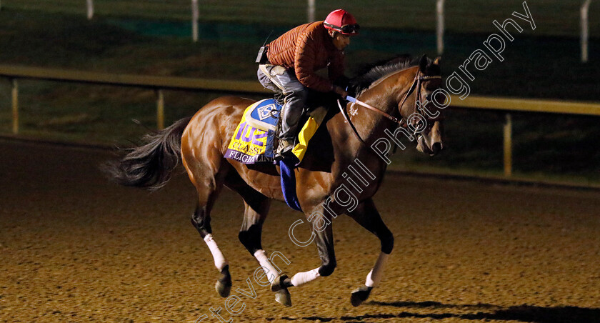 Flightline-0005 
 FLIGHTLINE training for the Breeders' Cup Classic
Keeneland USA 3 Nov 2022 - Pic Steven Cargill / Racingfotos.com