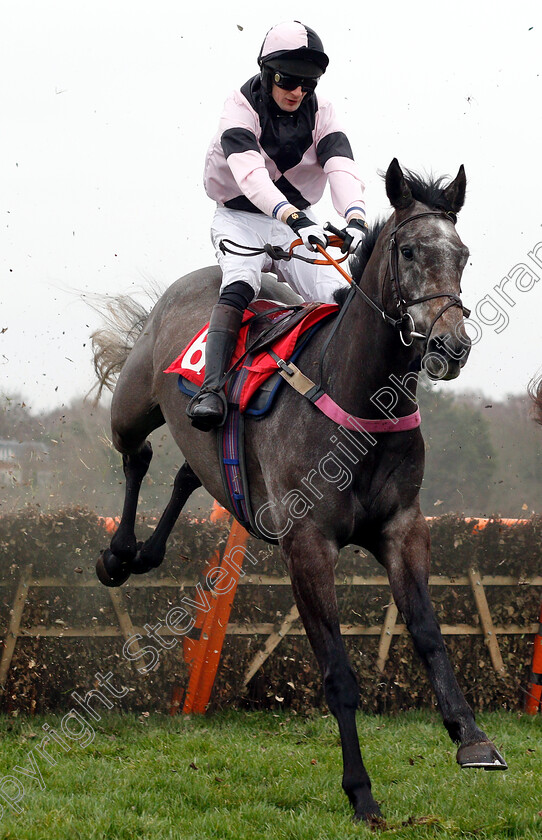 Tis-Fantastic-0001 
 TIS FANTASTIC (James Best)
Sandown 5 Jan 2019 - Pic Steven Cargill / Racingfotos.com