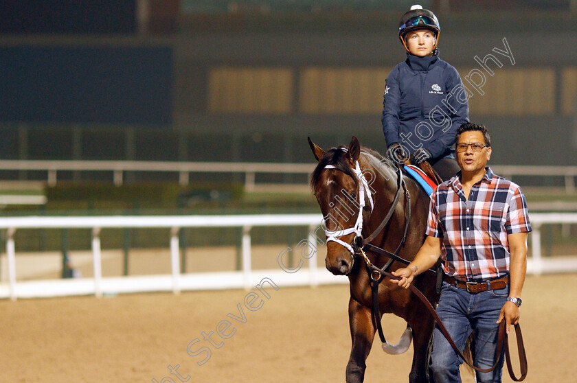 Life-Is-Good-0003 
 LIFE IS GOOD training for the Dubai World Cup
Meydan, Dubai, 22 Mar 2022 - Pic Steven Cargill / Racingfotos.com