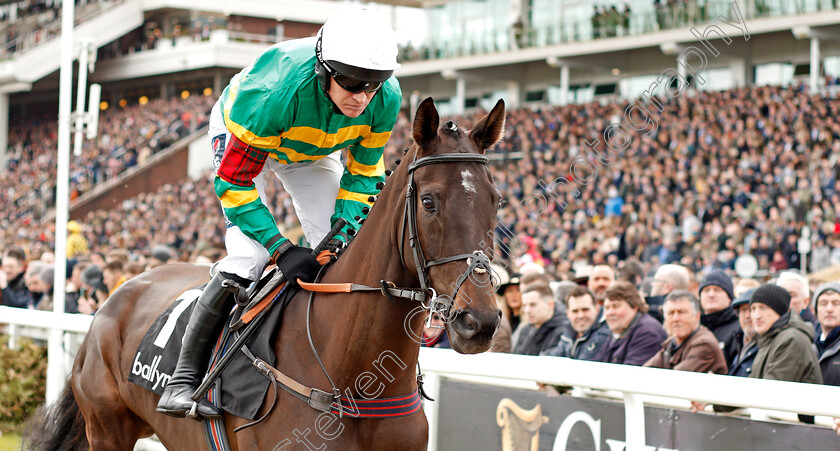 Sporting-John-0001 
 SPORTING JOHN (Barry Geraghty)
Cheltenham 11 Mar 2020 - Pic Steven Cargill / Racingfotos.com