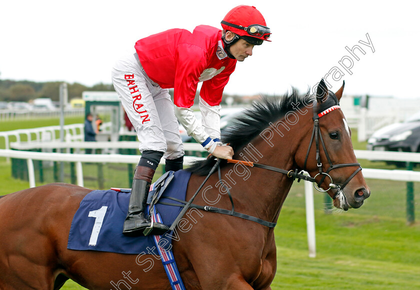 Rogue-Princess-0001 
 ROGUE PRINCESS (Robert Havlin)
Yarmouth 16 Oct 2023 - Pic Steven Cargill / Racingfotos.com