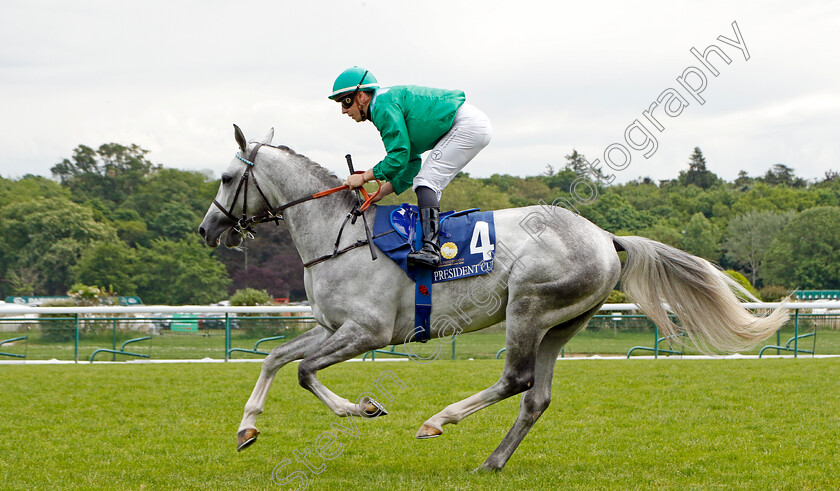 Rb-Kingmaker-0001 
 RB KINGMAKER (Cristian Demuro)
Longchamp 12 May 2024 - Pic Steven Cargill / Racingfotos.com