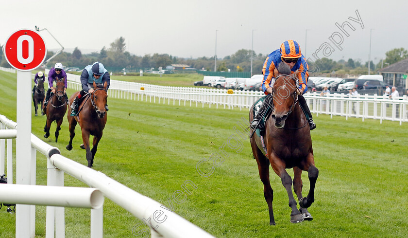 Henry-Longfellow-0001 
 HENRY LONGFELLOW (Ryan Moore) wins The Goffs Vincent O'Brien National Stakes
The Curragh 10 Sep 2023 - Pic Steven Cargill / Racingfotos.com