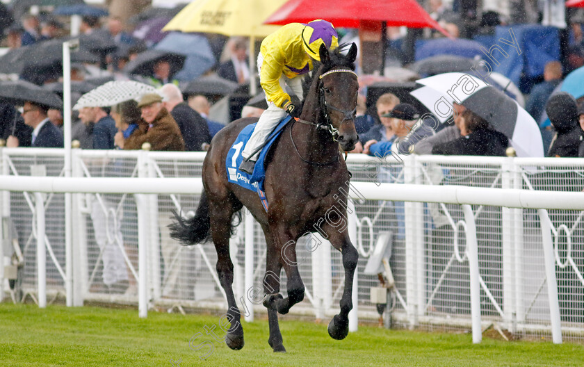 Amleto-0006 
 AMLETO (Tom Marquand) winner of The Deepbridge Syndicate Maiden Stakes
Chester 10 May 2023 - Pic Steven Cargill / Racingfotos.com