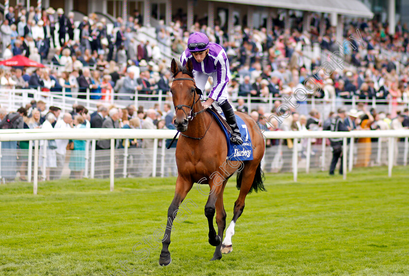 Snowfall-0003 
 SNOWFALL (Ryan Moore) winner of The Darley Yorkshire Oaks
York 19 Aug 2021 - Pic Steven Cargill / Racingfotos.com