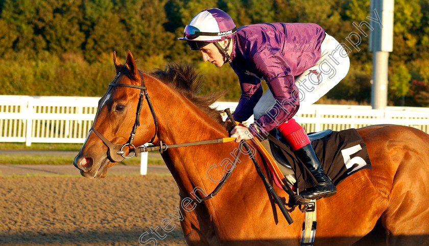 Karl-Carlston-0002 
 KARL CARLSTON (David Egan) winner of The Saint Francis Hospice Nursery
Chelmsford 3 Oct 2024 - Pic Steven Cargill / Racingfotos.com