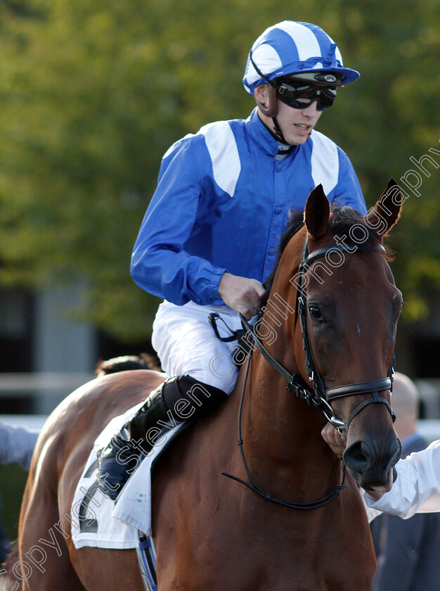 Alshahhad-0002 
 ALSHAHHAD (James Doyle)
Kempton 8 Aug 2018 - Pic Steven Cargill / Racingfotos.com