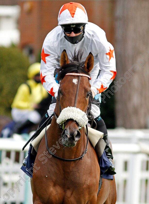 Victory-Won-0001 
 VICTORY WON (Stevie Donohoe)
Lingfield 2 Sep 2020 - Pic Steven Cargill / Racingfotos.com