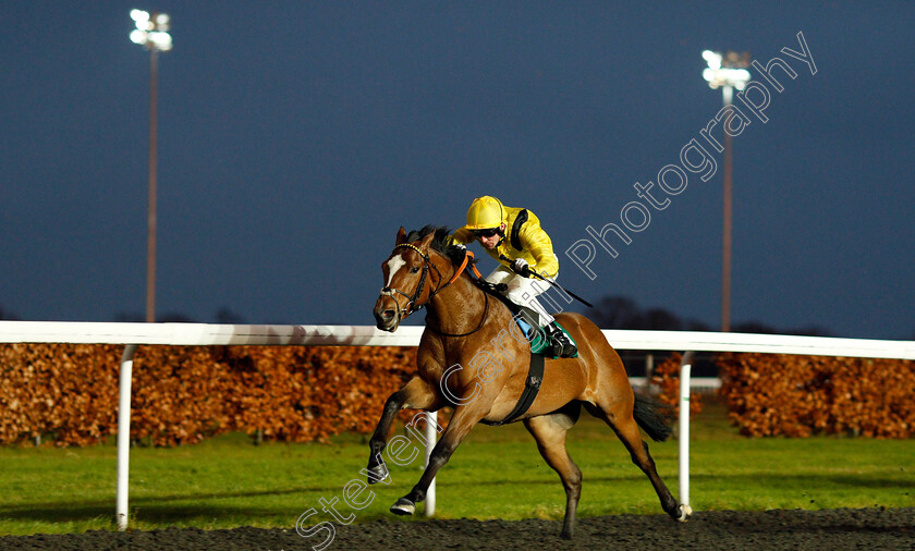 Monadee-0003 
 MONADEE (Jack Mitchell) wins The Bethany & Theodore Fitchie Novice Stakes Kempton 13 Dec 2017 - Pic Steven Cargill / Racingfotos.com