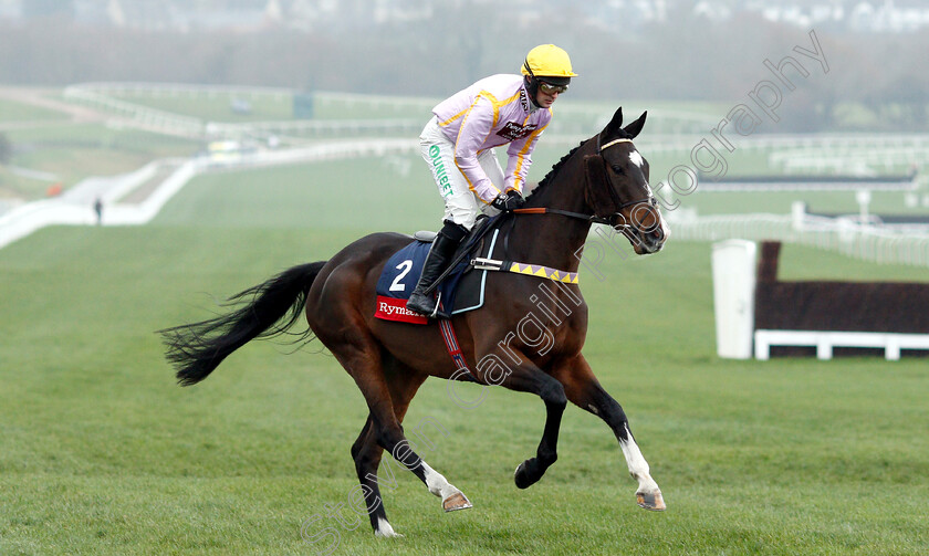 Jenkins-0002 
 JENKINS (Nico de Boinville)
Cheltenham 15 Dec 2018 - Pic Steven Cargill / Racingfotos.com