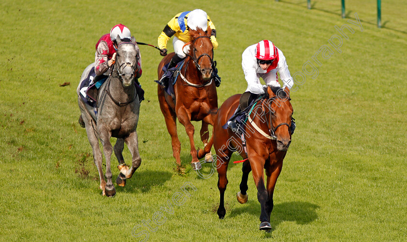 Foreseeable-Future-0005 
 FORSEEABLE FUTURE (Luke Morris) beats ELITE SHADOW (left) and PRANCEABOOTTHETOON (yellow) in The British EBF Novice Stakes Yarmouth 16 Oct 2017 - Pic Steven Cargill / Racingfotos.com