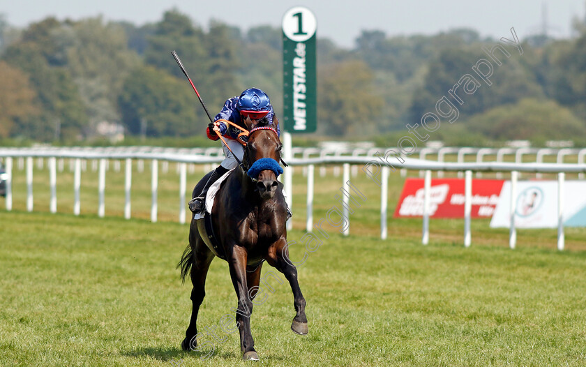 Penalty-0005 
 PENALTY (Thore Hammer-Hansen) wins The 91. Brunner-Oettingen Rennen
Baden Baden 1 Sep 2024 - Pic Steven Cargill / Racingfotos.com