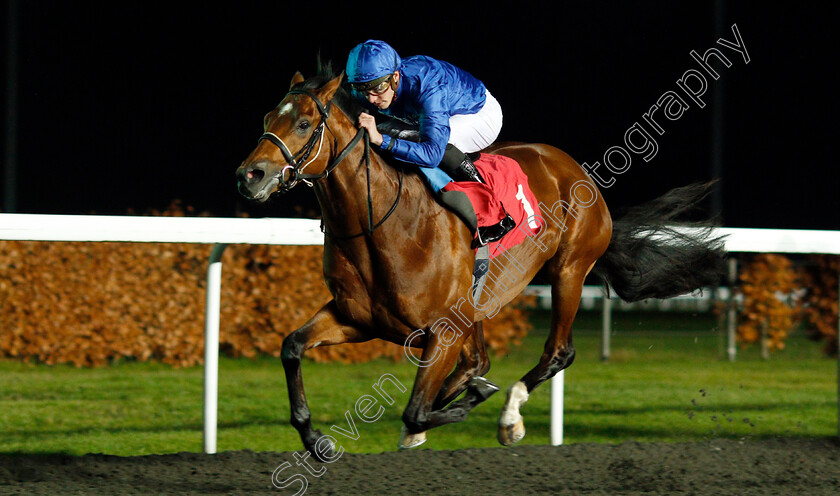 Boccaccio-0005 
 BOCCACCIO (James Doyle) wins The 100% Profit Boost At 32redsport.com Novice Stakes
Kempton 27 Nov 2019 - Pic Steven Cargill / Racingfotos.com