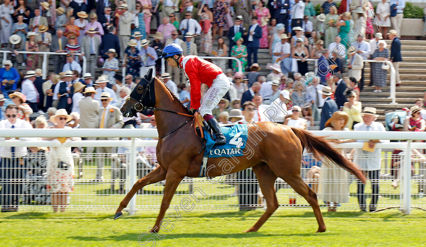 Vetiver-0001 
 VETIVER (Oisin Murphy)
Goodwood 31 Jul 2024 - Pic Steven Cargill / Racingfotos.com