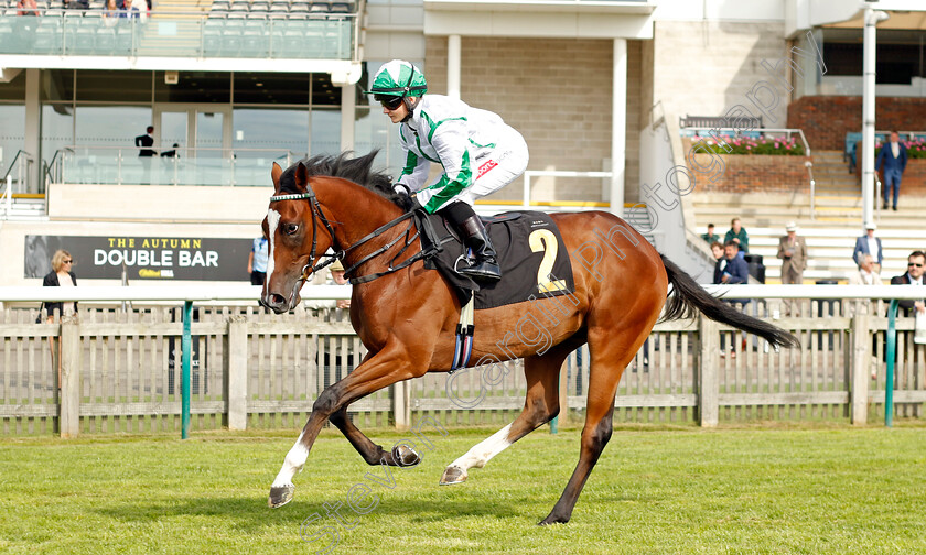 Expressionless-0001 
 EXPRESSIONLESS (Hollie Doyle)
Newmarket 22 Sep 2022 - Pic Steven Cargill / Racingfotos.com