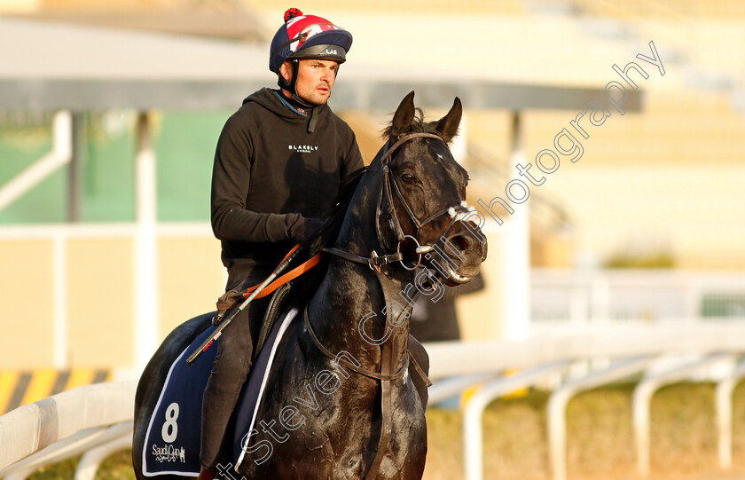 Pogo-0001 
 POGO training for the Turf Sprint
King Abdulaziz Racetrack, Riyadh, Saudi Arabia 24 Feb 2022 - Pic Steven Cargill / Racingfotos.com