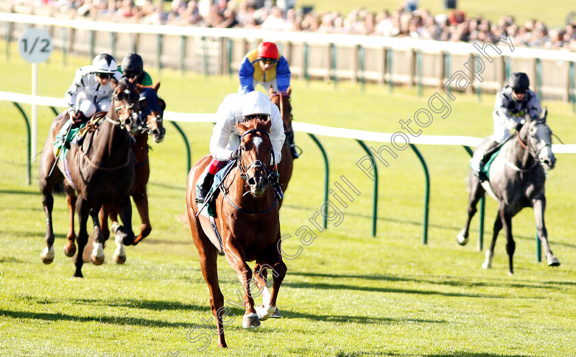 Wissahickon-0005 
 WISSAHICKON (Frankie Dettori) wins The bet365 Cambridgeshire Handicap
Newmarket 29 Sep 2018 - Pic Steven Cargill / Racingfotos.com