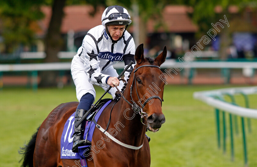 Seasett-0001 
 SEASETT (Paddy Mathers)
Haydock 22 May 2021 - Pic Steven Cargill / Racingfotos.com