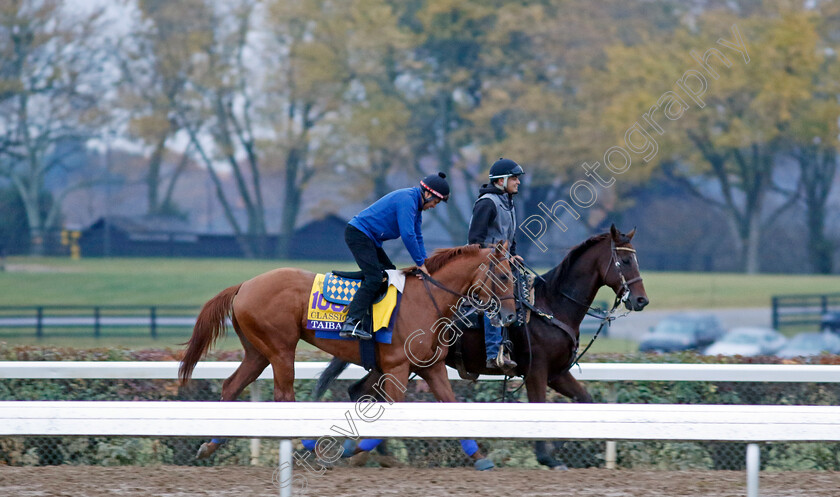 Taiba-0001 
 TAIBA training for the Breeders' Cup Classic
Keeneland, USA 31 Oct 2022 - Pic Steven Cargill / Racingfotos.com