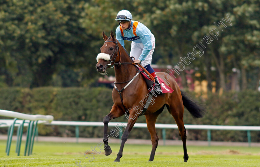 Misty-Ayr-0001 
 MISTY AYR (Callum Rodriguez)
Haydock 2 Sep 2022 - Pic Steven Cargill / Racingfotos.com