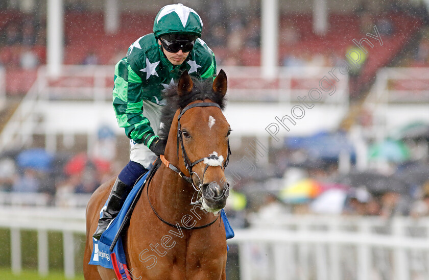 Paddy-The-Squire-0001 
 PADDY THE SQUIRE (Andrew Mullen)
Chester 10 May 2023 - pic Steven Cargill / Racingfotos.com