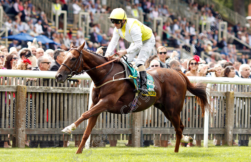 King s-Advice-0002 
 KING'S ADVICE (Joe Fanning) wins The bet365 Trophy
Newmarket 12 Jul 2019 - Pic Steven Cargill / Racingfotos.com