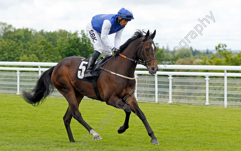 Moonlight-Frolic 
 MOONLIGHT FROLIC (Sean Levey)
Goodwood 20 May 2022 - Pic Steven Cargill / Racingfotos.com