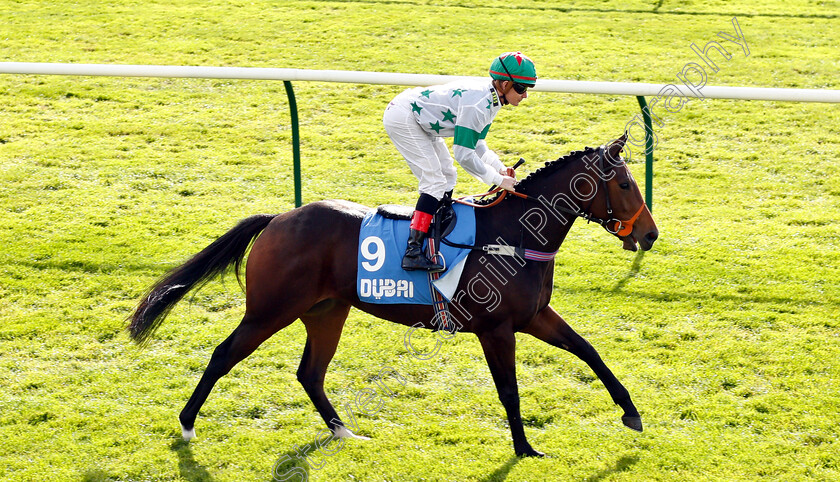 Deia-Glory-0001 
 DEIA GLORY (Kieran O'Neill)
Newmarket 12 Oct 2018 - Pic Steven Cargill / Racingfotos.com