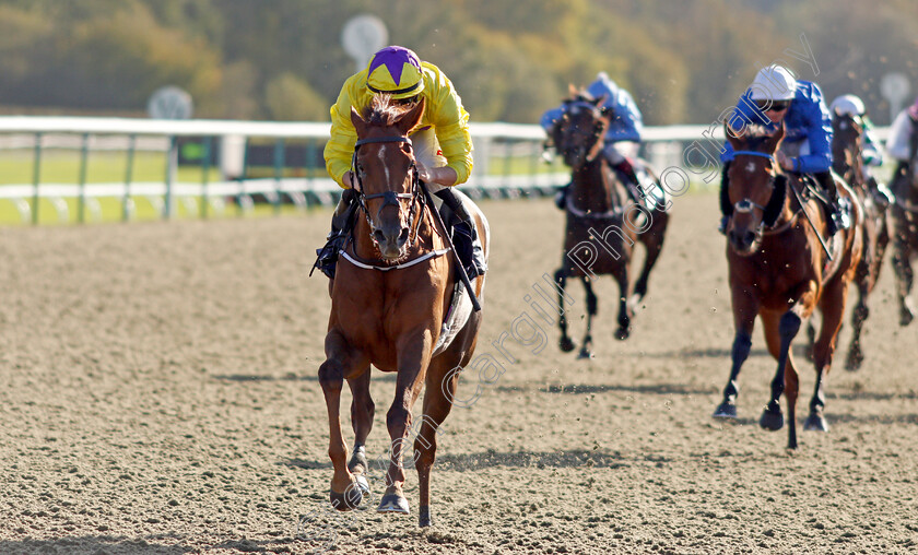 Sea-La-Rosa-0005 
 SEA LA ROSA (Tom Marquand) wins The Coral EBF River Eden Fillies Stakes
Lingfield 28 Oct 2021 - Pic Steven Cargill / Racingfotos.com