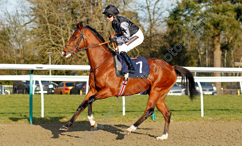 Lucky-Man-0002 
 LUCKY MAN (Hayley Turner) winner of The Watch Racing Free Online At Coral Handicap
Lingfield 9 Mar 2022 - Pic Steven Cargill / Racingfotos.com