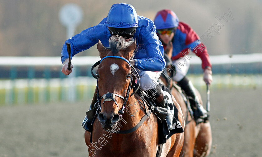 Forest-Of-Dean-0008 
 FOREST OF DEAN (Robert Havlin) wins The Betway Winter Derby Stakes
Lingfield 27 Feb 2021 - Pic Steven Cargill / Racingfotos.com