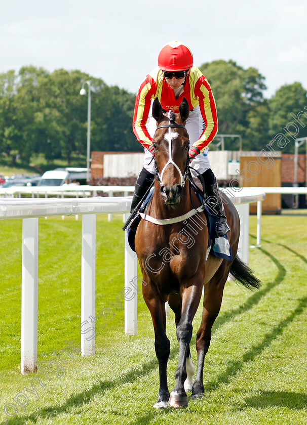 Crazy-Luck-0001 
 CRAZY LUCK (P J McDonald)
York 10 Jun 2022 - Pic Steven Cargill / Racingfotos.com