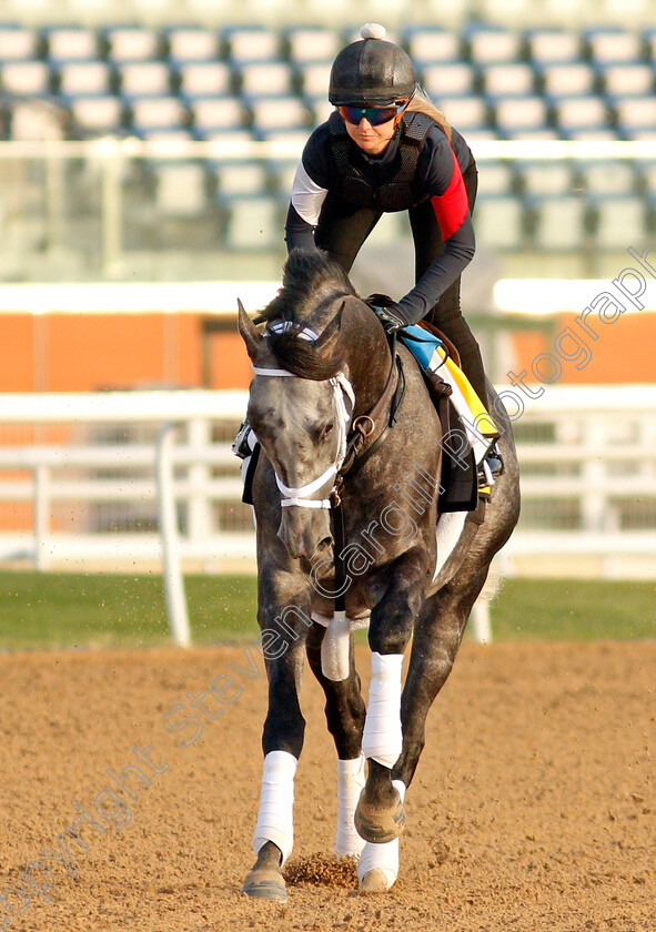 Colonel-Liam-0007 
 COLONEL LIAM training for the Dubai Turf
Meydan, Dubai, 23 Mar 2022 - Pic Steven Cargill / Racingfotos.com